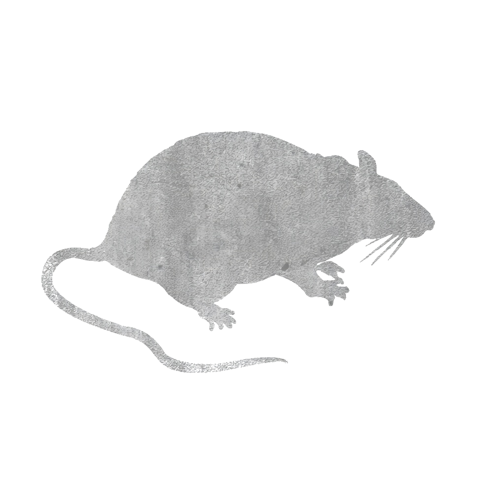 Rat silhouette